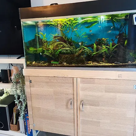 Lejlighed Kimano Apartmans